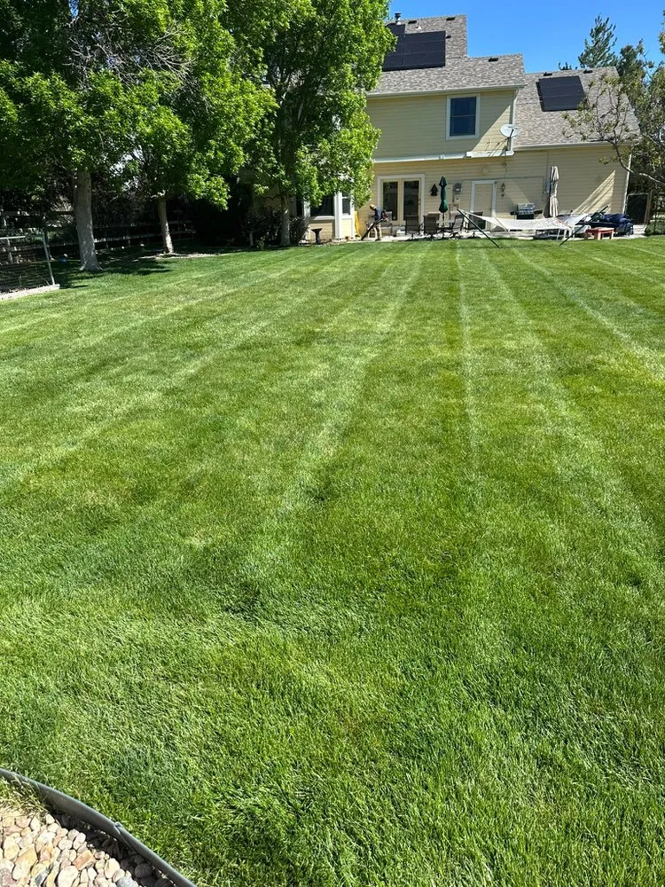 Professional landscape design for outdoor upgrades in Thornton, CO by Godinez GL Landscaping