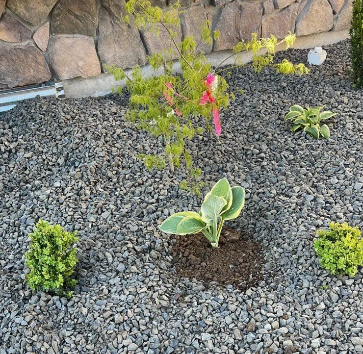 Affordable lawn care service experts serving Las Cruces, NM - Godinez Landscaping