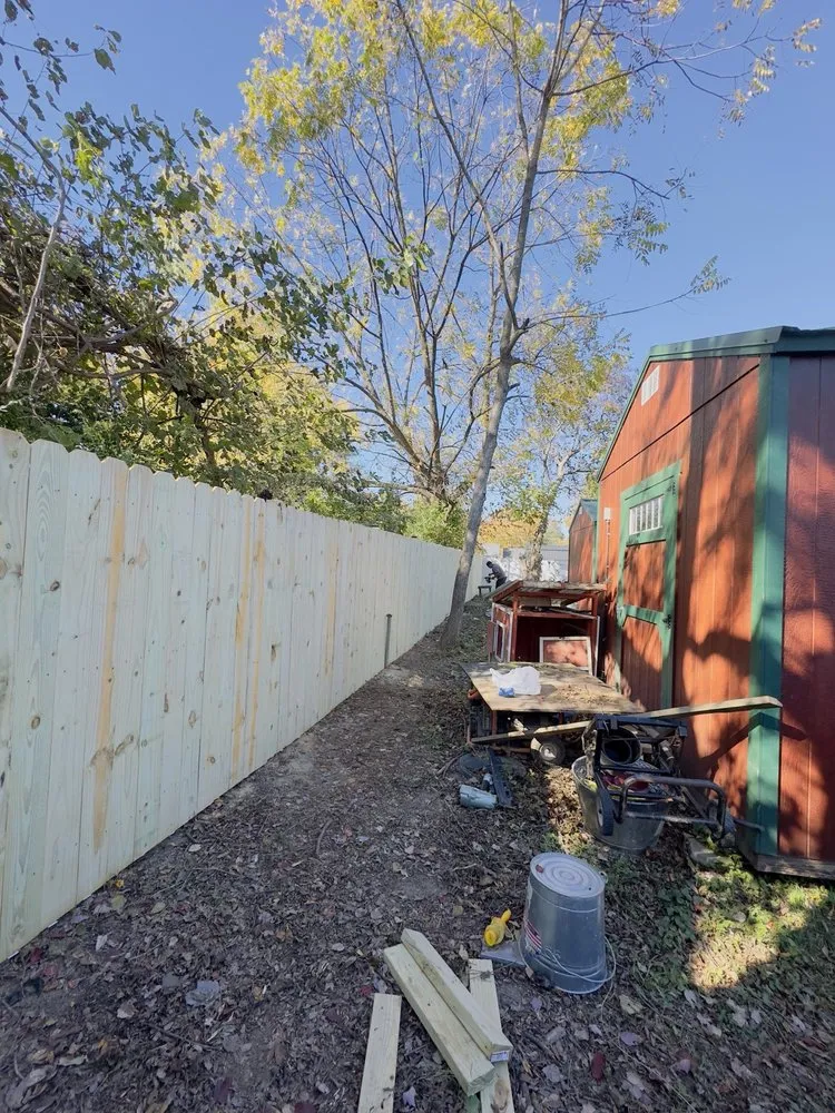 Affordable yard cleanup service in Fredericksburg, VA - Godinez Tree Services