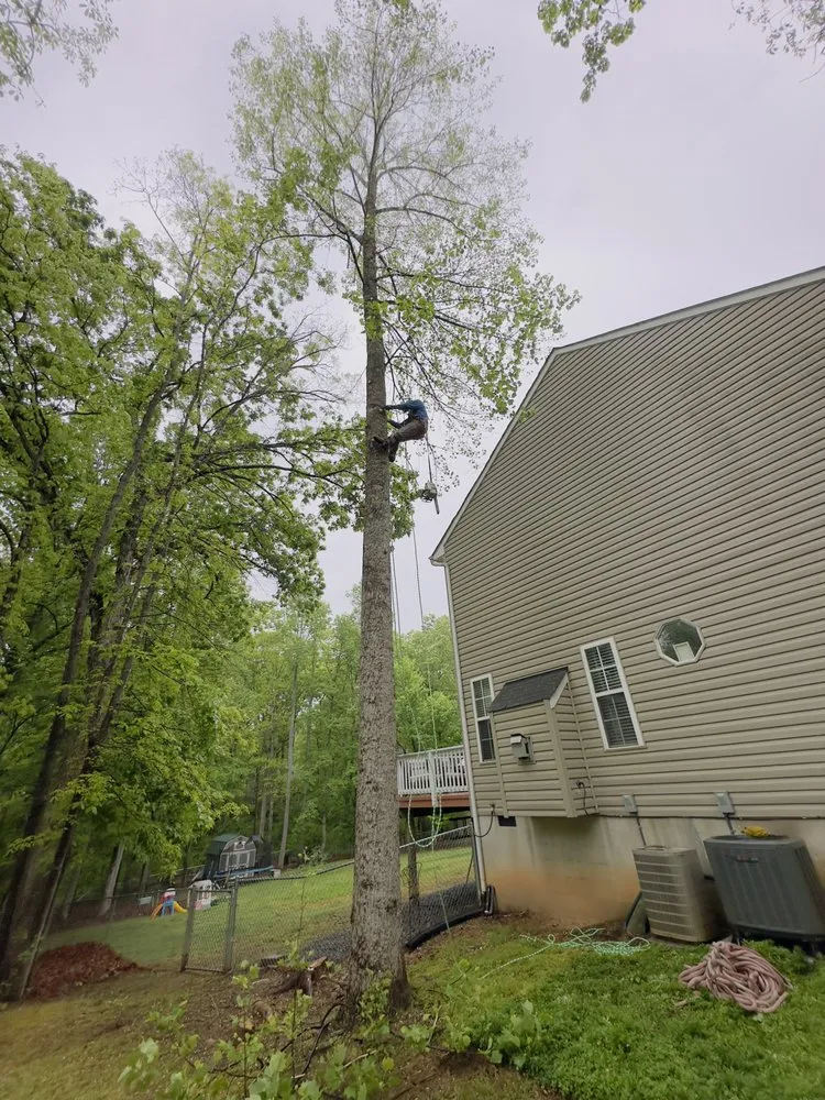 Trusted outdoor landscaping experts serving Fredericksburg, VA - Godinez Tree Services