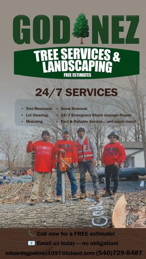 Trusted yard cleanup service near you across Fredericksburg, VA - Godinez Tree Services