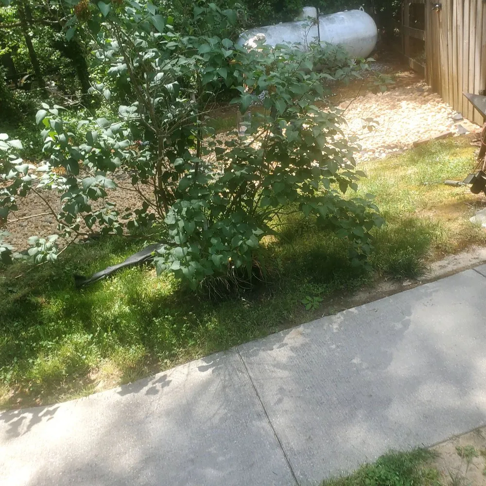 Reliable lawn mowing service in Fredericksburg, VA - Godinez Tree Services