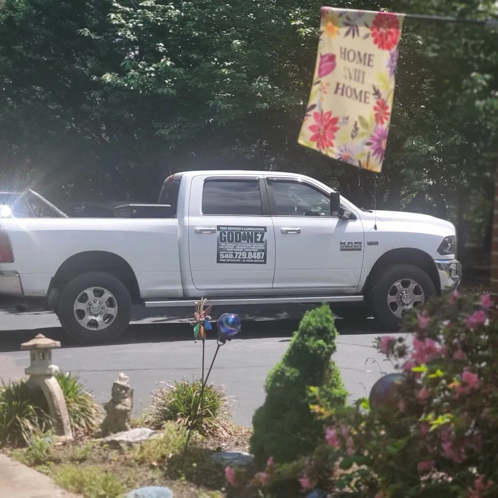 Top-rated outdoor landscaping for year-round maintenance in Fredericksburg, VA by Godinez Tree Services