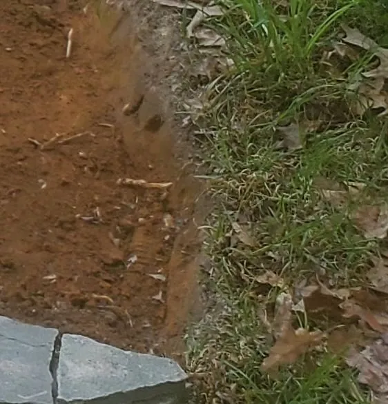 Custom lawn care service near you across Fredericksburg, VA - Godinez Tree Services