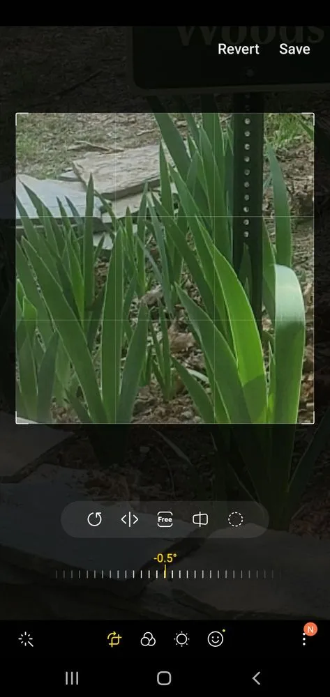 Trusted outdoor landscaping in Fredericksburg, VA - Godinez Tree Services