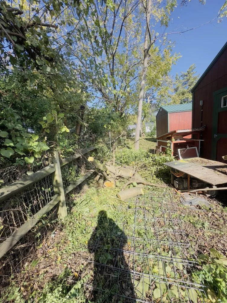 Expert landscaping services for residential properties across Fredericksburg, VA - Godinez Tree Services