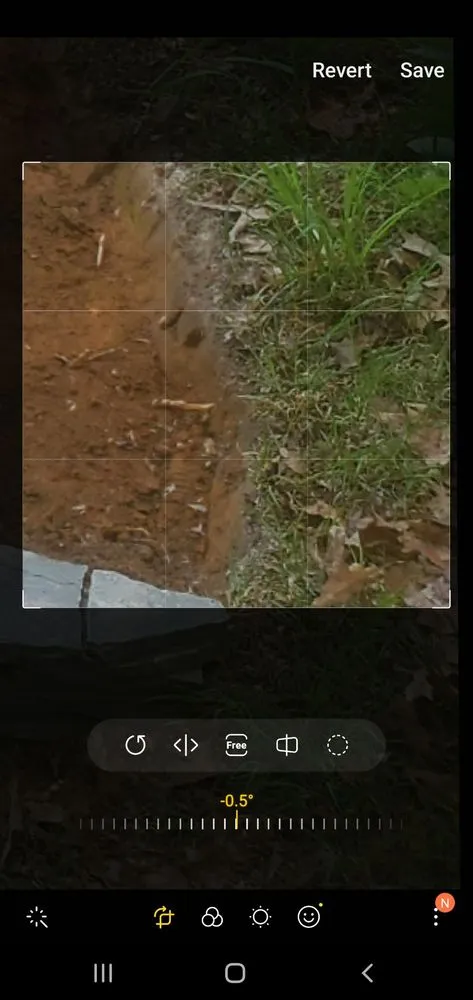 Trusted lawn mowing service in Fredericksburg, VA - Godinez Tree Services