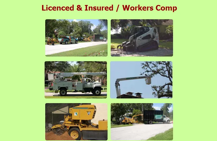 Local lawn mowing service in Winter Garden, FL - Godley's Custom Landscaping & Tree Service