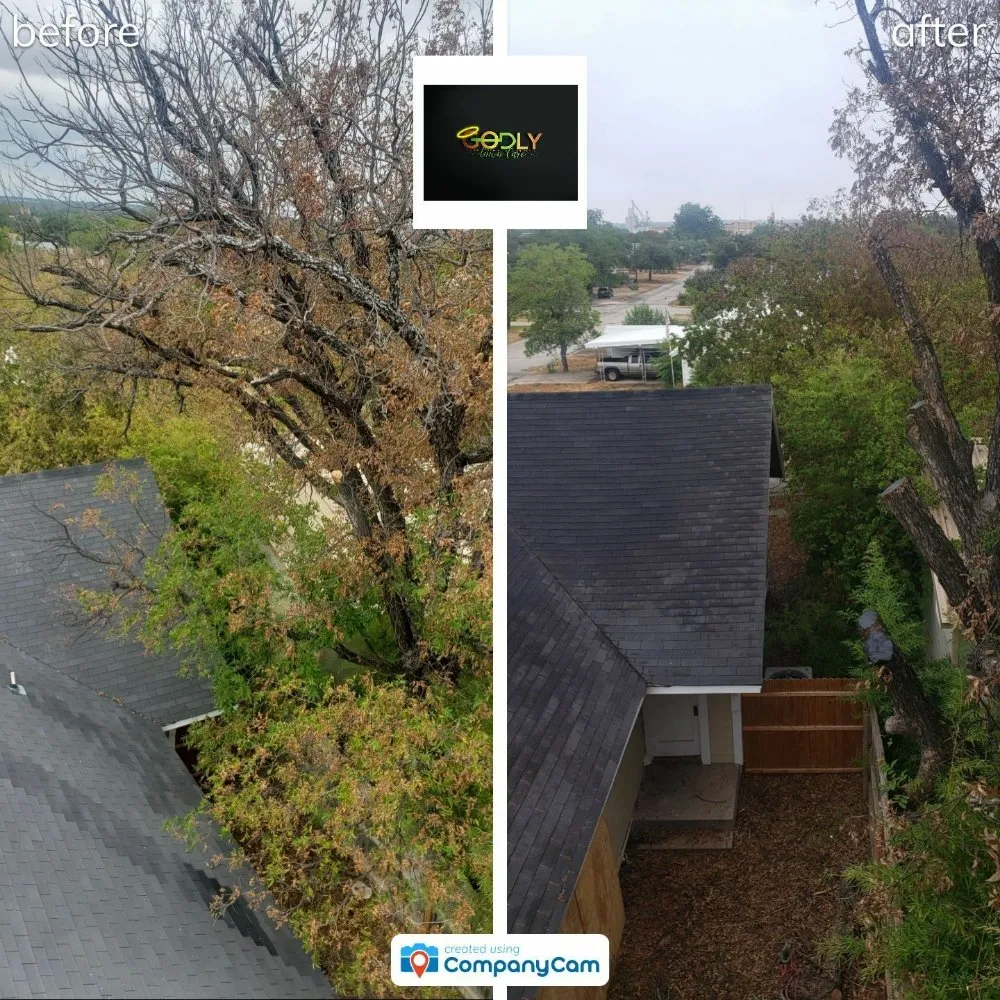 Expert landscape design for beautiful yards across Brady, TX - Godly Lawn Care