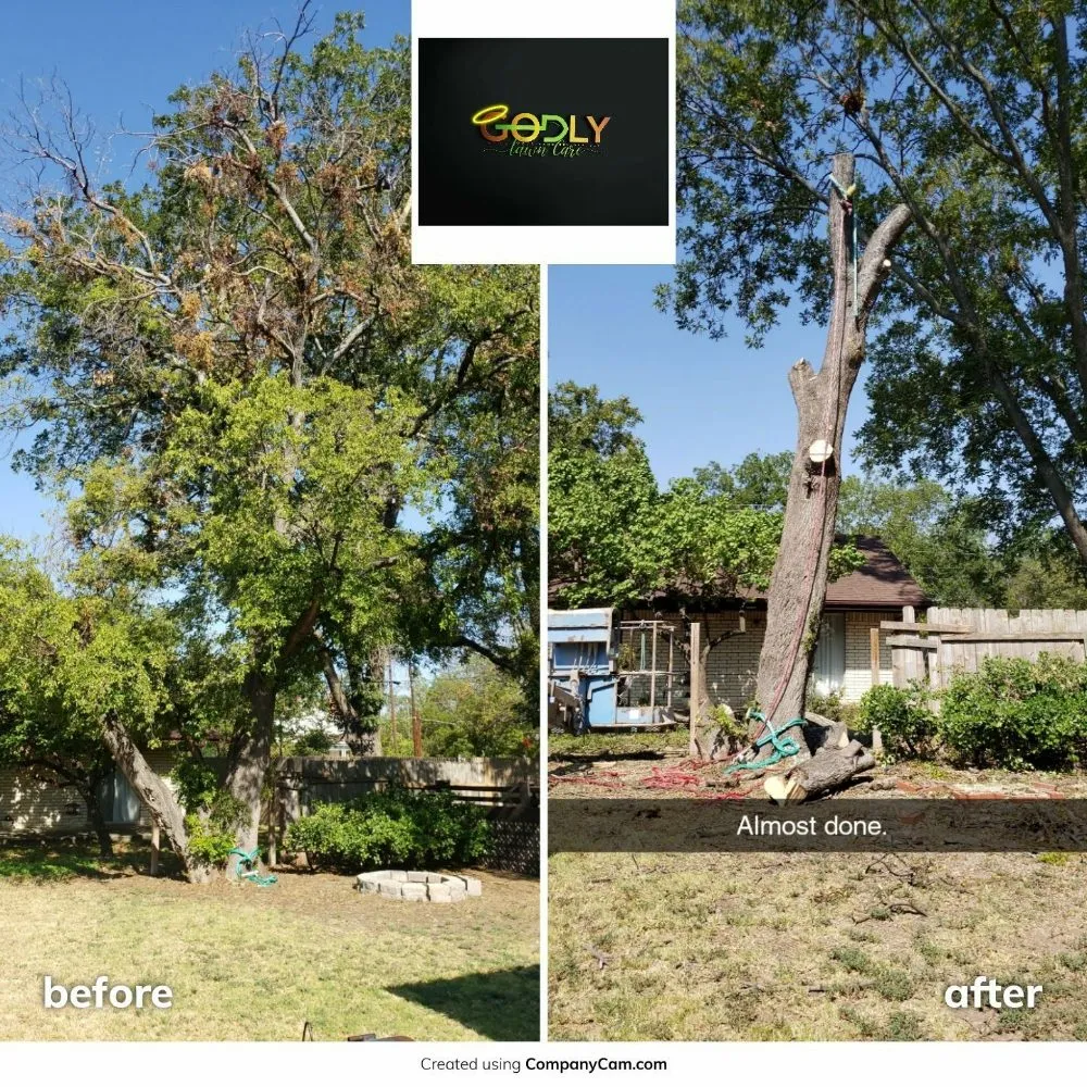 Professional landscape design in Brady, TX - Godly Lawn Care