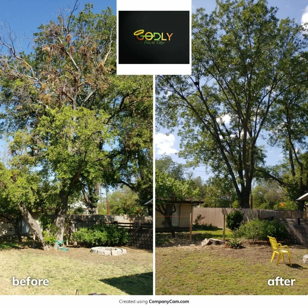 Trusted landscaping services in Brady, TX - Godly Lawn Care