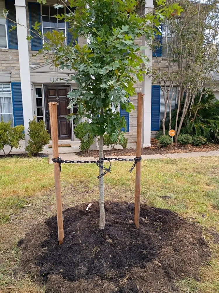 Affordable yard cleanup service in Tomball, TX - Godover Autism Farming