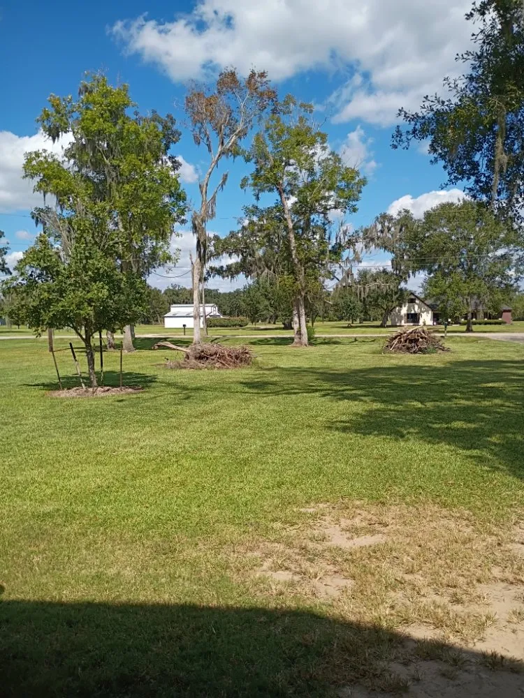 Expert residential landscaping for beautiful yards in Tomball, TX by Godover Autism Farming