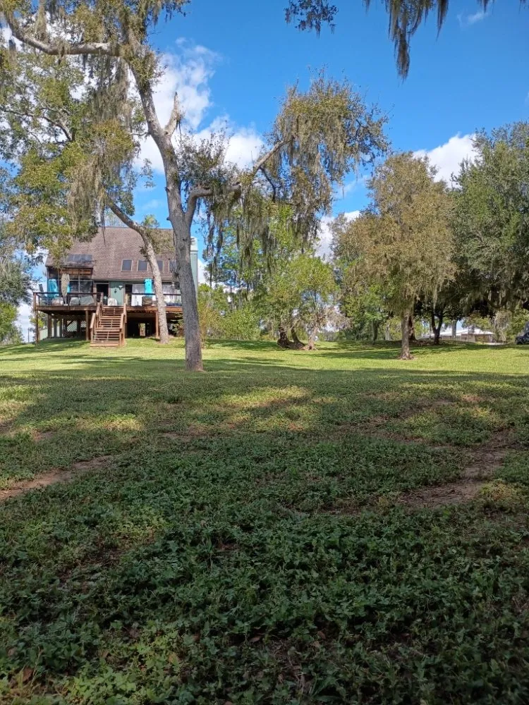 Affordable lawn care service in Tomball, TX by Godover Autism Farming