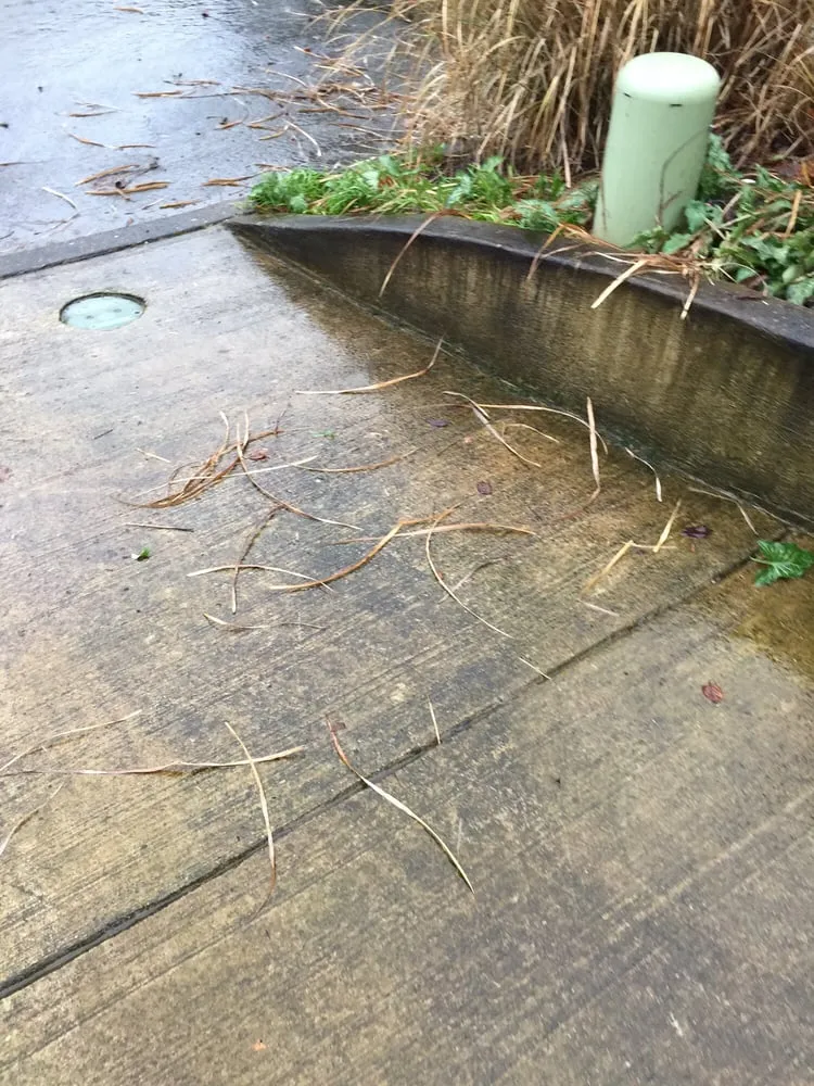 Affordable lawn care service in Portland, OR - Godoy Landscaping Maintenance