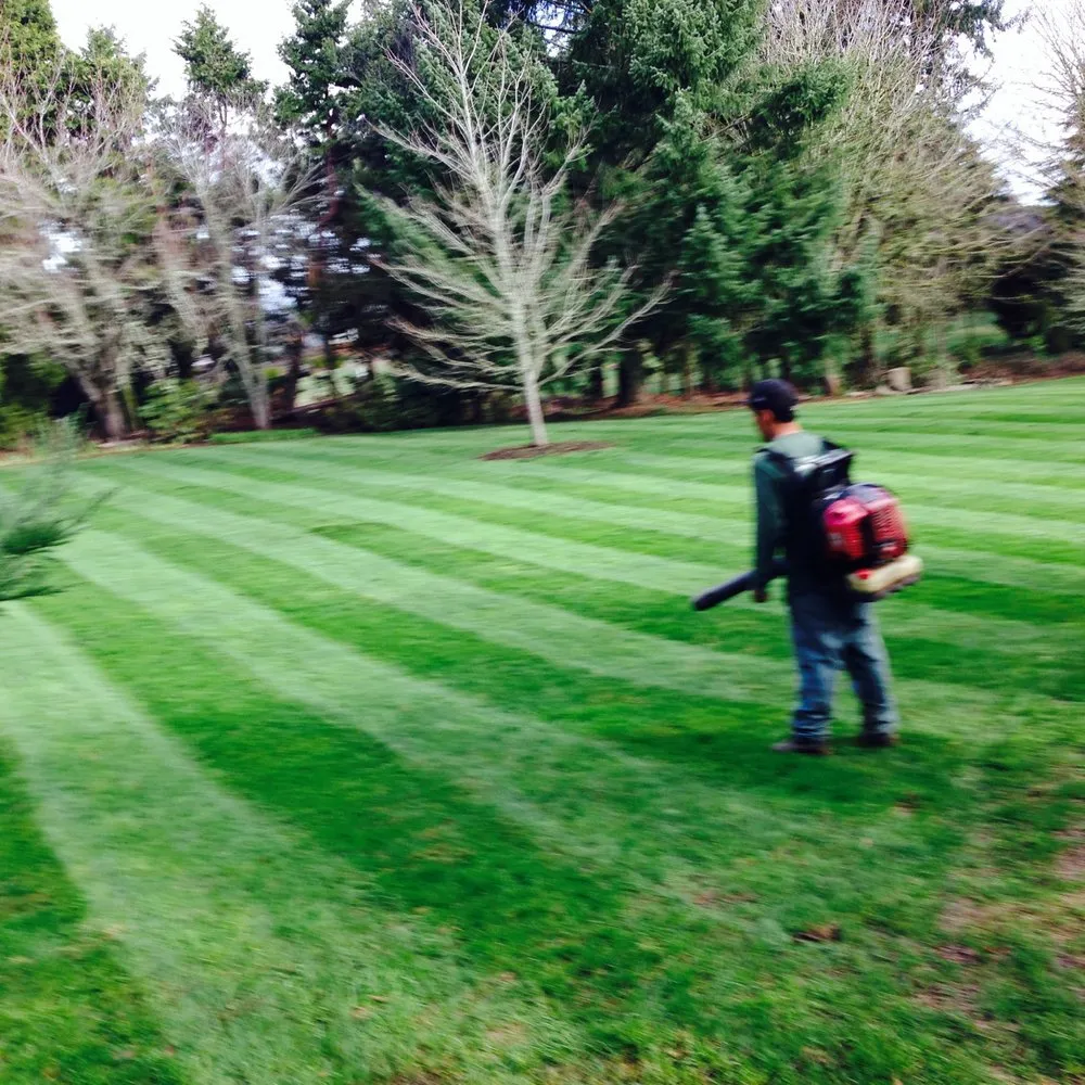 Trusted landscape installation for year-round maintenance across Portland, OR - Godoy Landscaping Maintenance