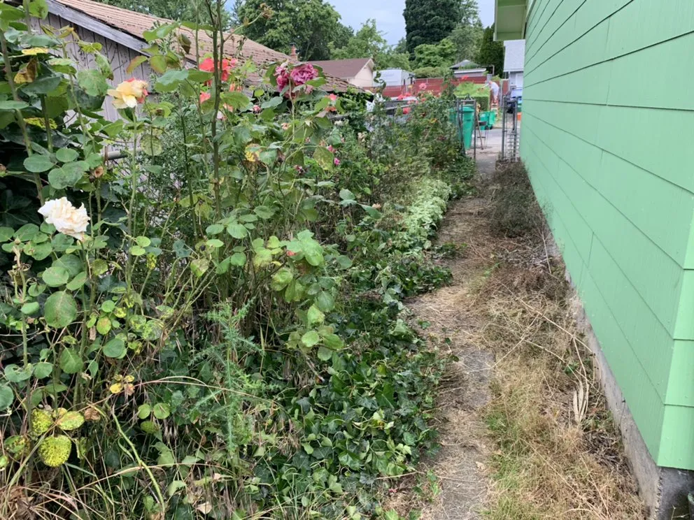 Top-rated lawn mowing service experts serving Portland, OR - Godoy Landscaping Maintenance