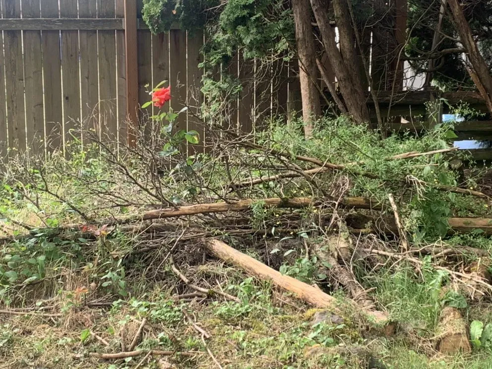 Affordable yard maintenance for homes across Portland, OR - Godoy Landscaping Maintenance