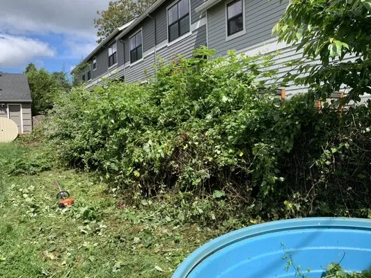 Godoy Landscaping Maintenance Logo