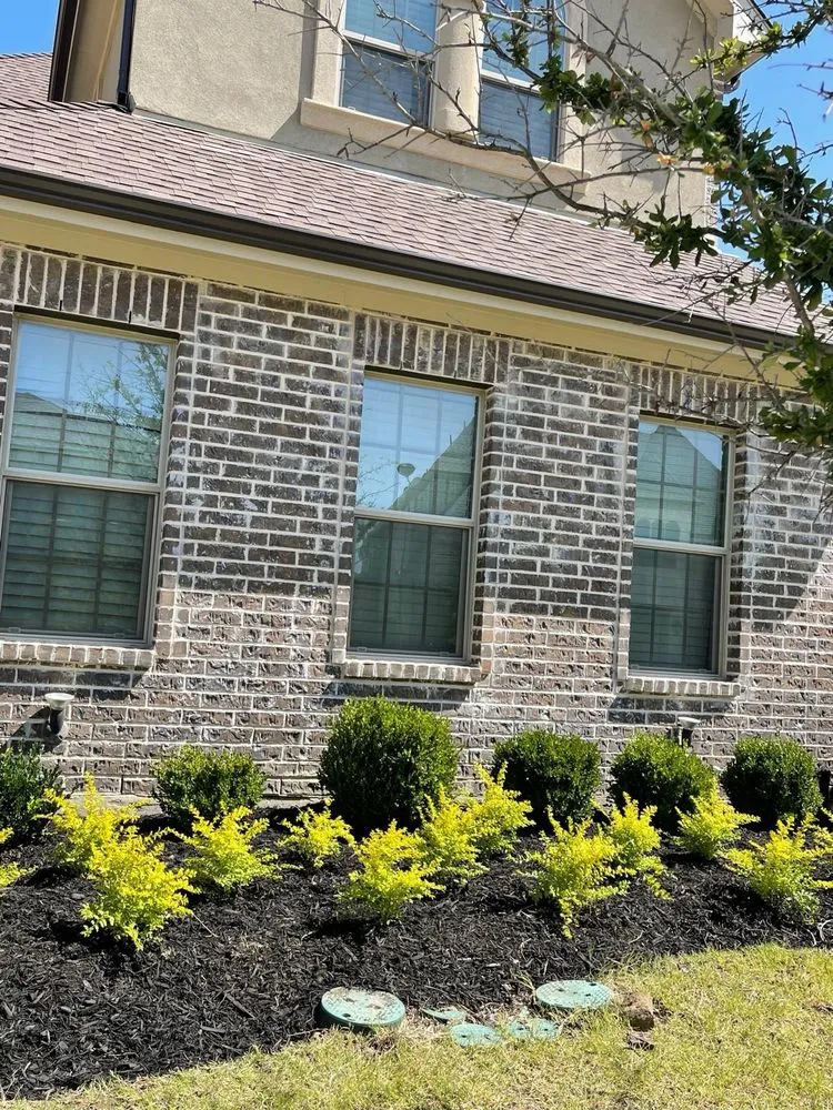 Expert lawn mowing service for outdoor upgrades across Plano, TX - Godoy’s Wolves Tree Service & Landscape