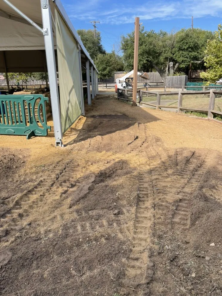 Affordable landscape design experts serving Plano, TX - Godoy’s Wolves Tree Service & Landscape