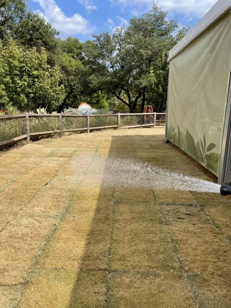 Top-rated yard cleanup service in Plano, TX by Godoy’s Wolves Tree Service & Landscape