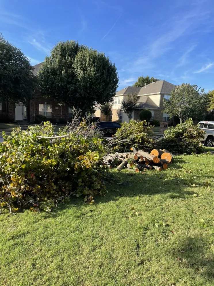 Expert lawn mowing service in Plano, TX by Godoy’s Wolves Tree Service & Landscape