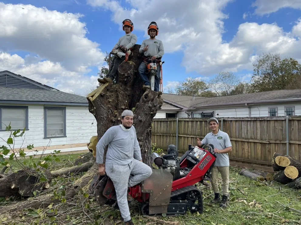 Expert lawn mowing service for homes in Plano, TX by Godoy’s Wolves Tree Service & Landscape