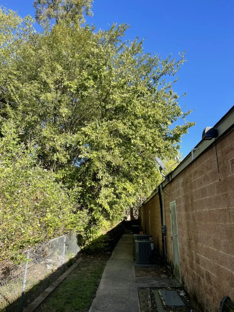 Professional garden landscaping for homes across Plano, TX - Godoy’s Wolves Tree Service & Landscape