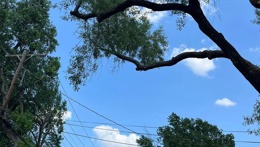 Reliable landscape design for residential properties across Plano, TX - Godoy’s Wolves Tree Service & Landscape