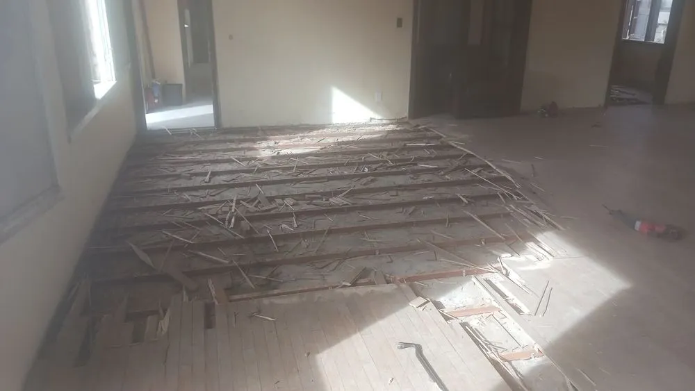 Top-rated landscaping services experts serving Yuma, AZ - God's Blessing