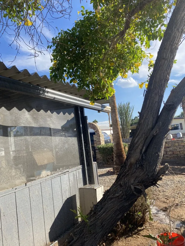 Trusted residential landscaping in Yuma, AZ - God's Blessing