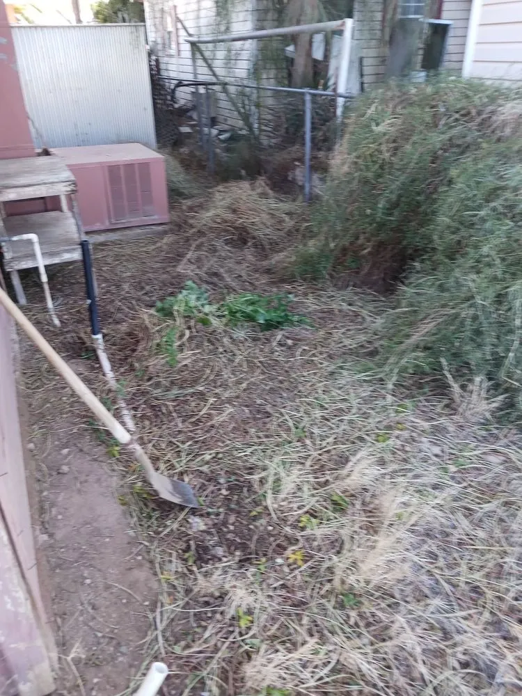 Trusted landscaping services in Yuma, AZ - God's Blessing