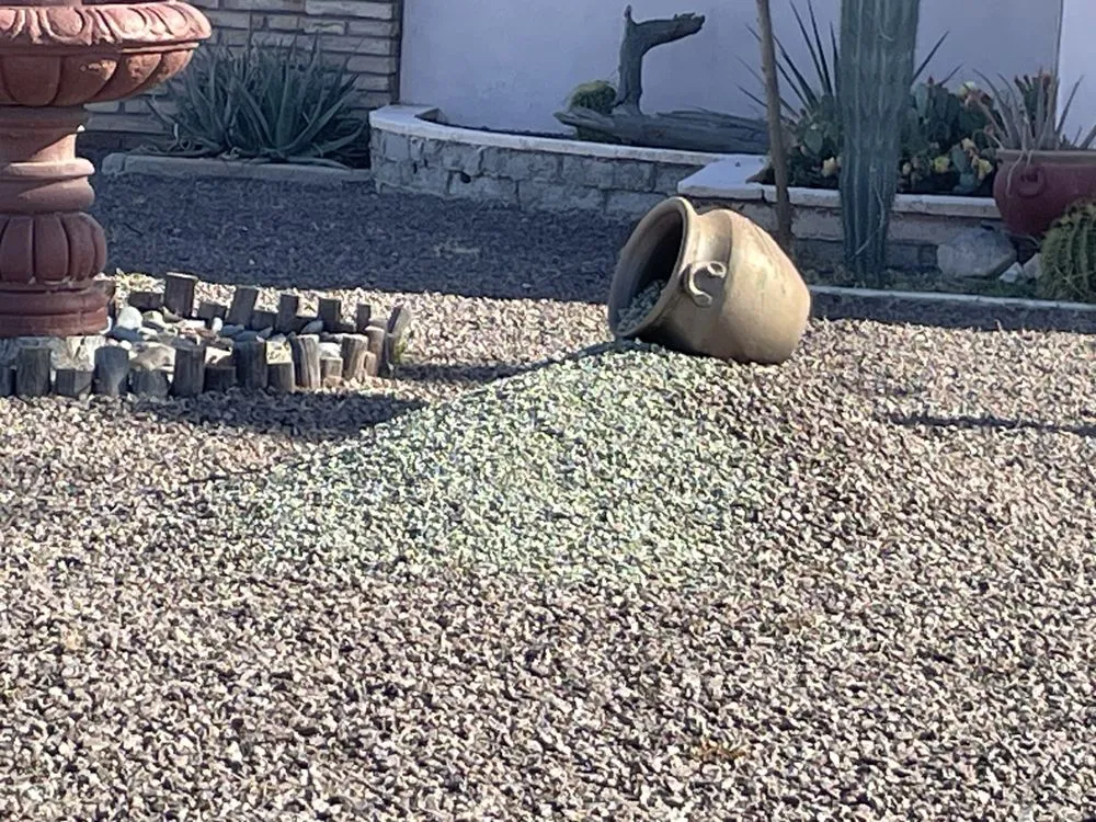 Custom residential landscaping for residential properties in Yuma, AZ by God's Blessing