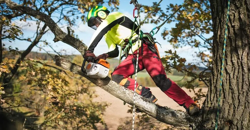 Trusted outdoor landscaping with custom design across Glen Burnie, MD - God's Blessings Tree and Landscaping Services