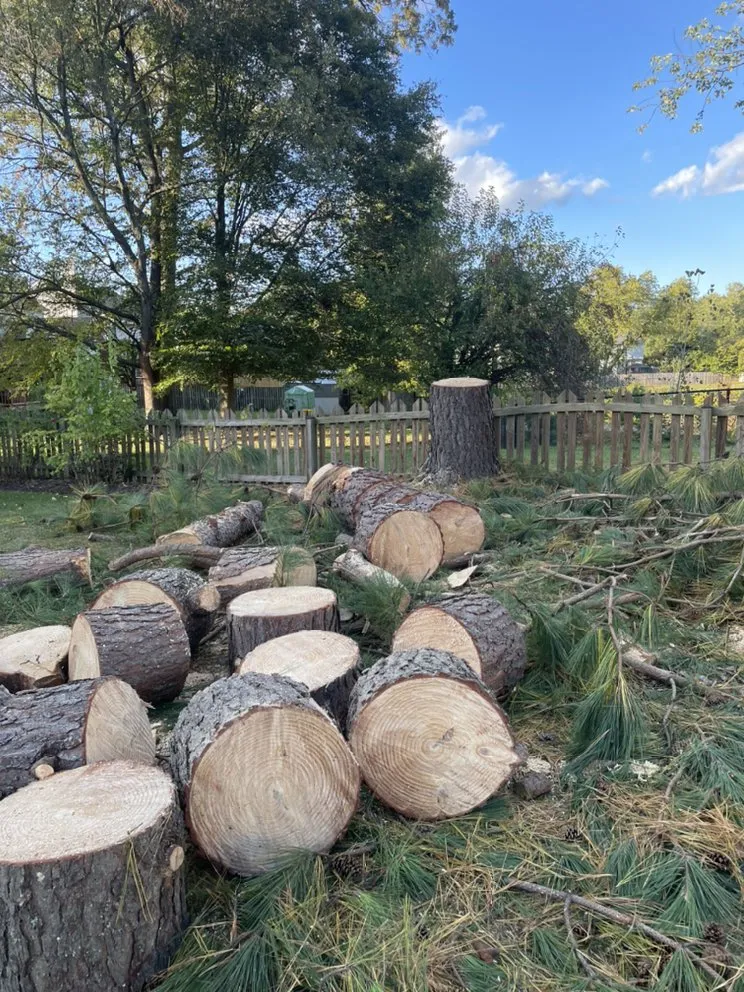 Affordable landscaping services for year-round maintenance in Glen Burnie, MD by God's Blessings Tree and Landscaping Services