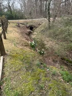 Gods country Lawn swervice Logo