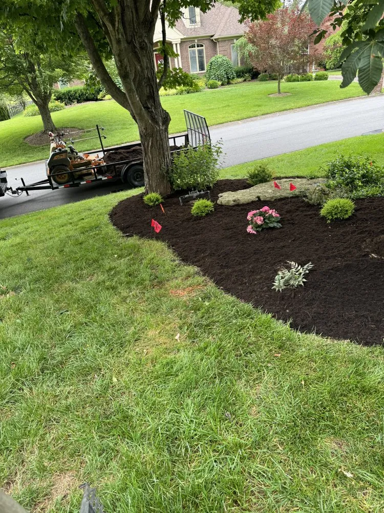 Reliable outdoor landscaping experts serving Mount Washington, KY - God's Country Outdoor Services