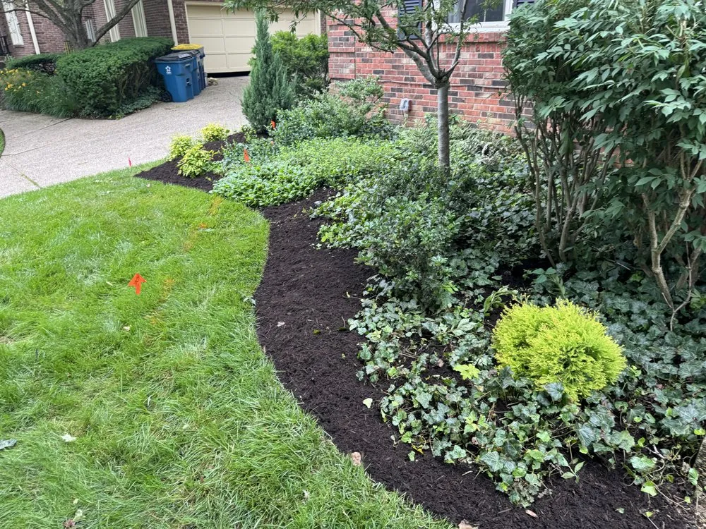 Top-rated lawn mowing service in Mount Washington, KY by God's Country Outdoor Services