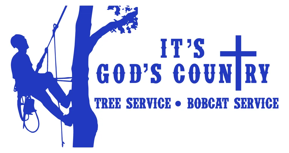 Expert yard cleanup service for beautiful yards in Osteen, FL by God's Country Tree & Bobcat