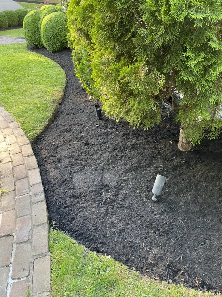 Reliable landscape design in South Shore, KY by God’s Creation Landscaping