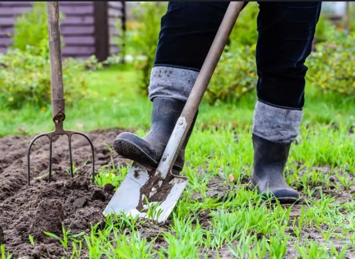 Affordable residential landscaping for homes in New Orleans, LA by Gods Creative Cleaning