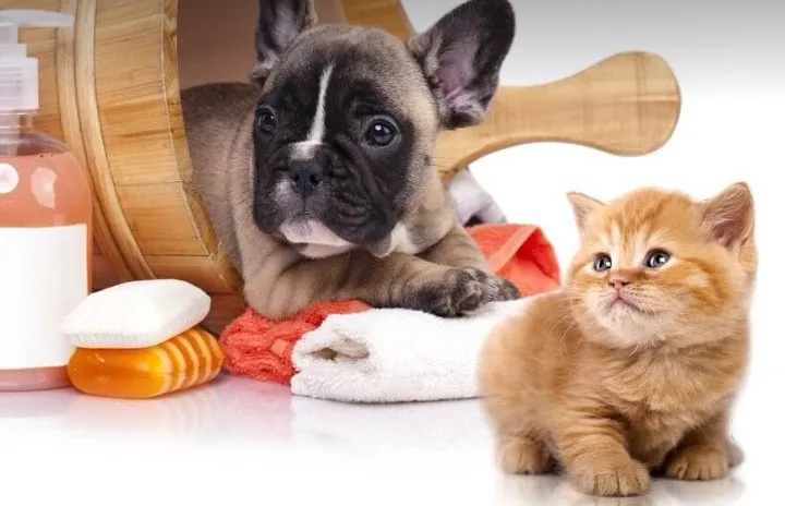 Reliable landscape installation in New Orleans, LA by Gods Creative Cleaning