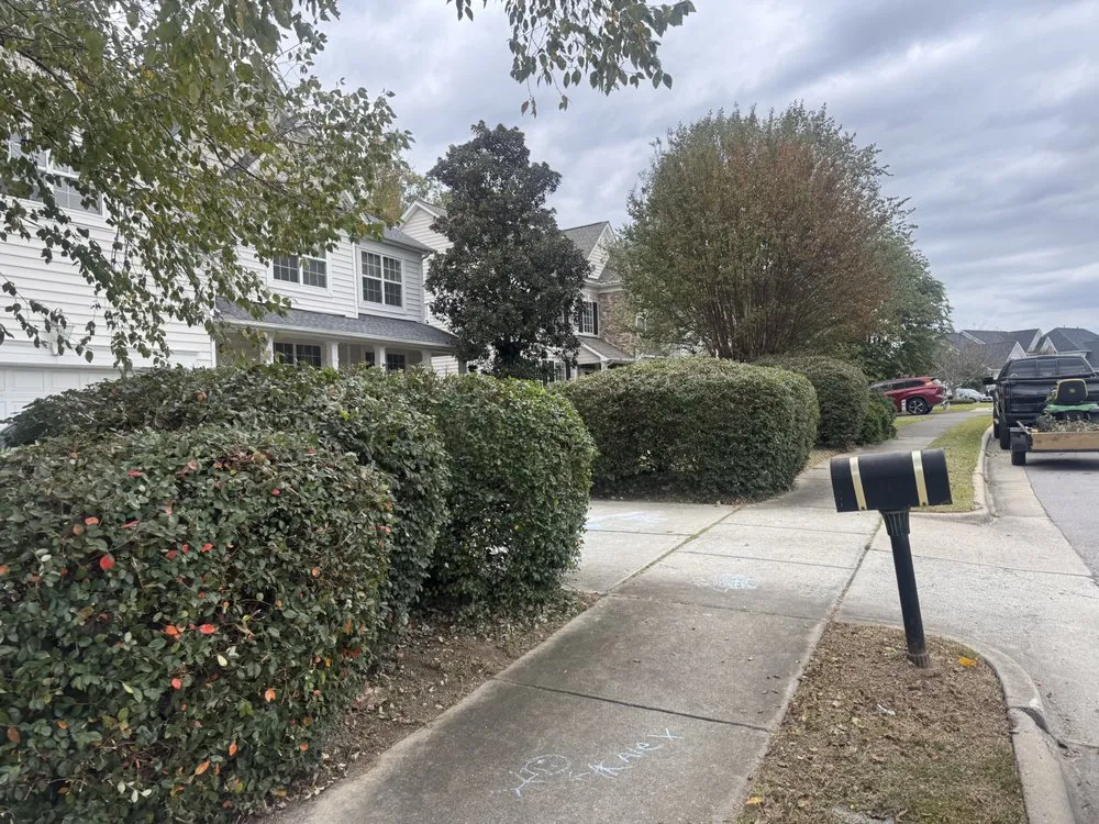 Expert landscape installation in Oxford, NC by Gods Design Land Crafting