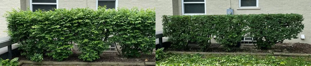 Local lawn mowing service experts serving Bloomfield Township, MI - God's Garden