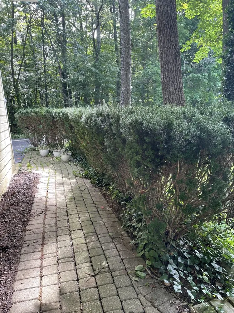 Custom yard cleanup service for year-round maintenance across Bloomfield Township, MI - God's Garden