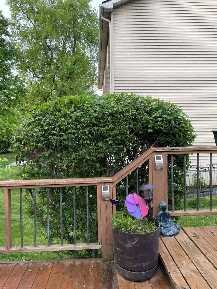 Top-rated landscape installation in Bloomfield Township, MI - God's Garden