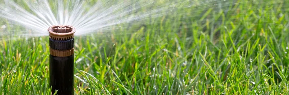 Trusted landscape installation experts serving Mesa, AZ - God's Garden Landscaping