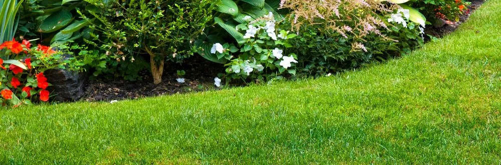 Expert landscape design in Mesa, AZ by God's Garden Landscaping