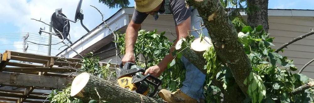 Reliable outdoor landscaping for year-round maintenance in Mesa, AZ by God's Garden Landscaping